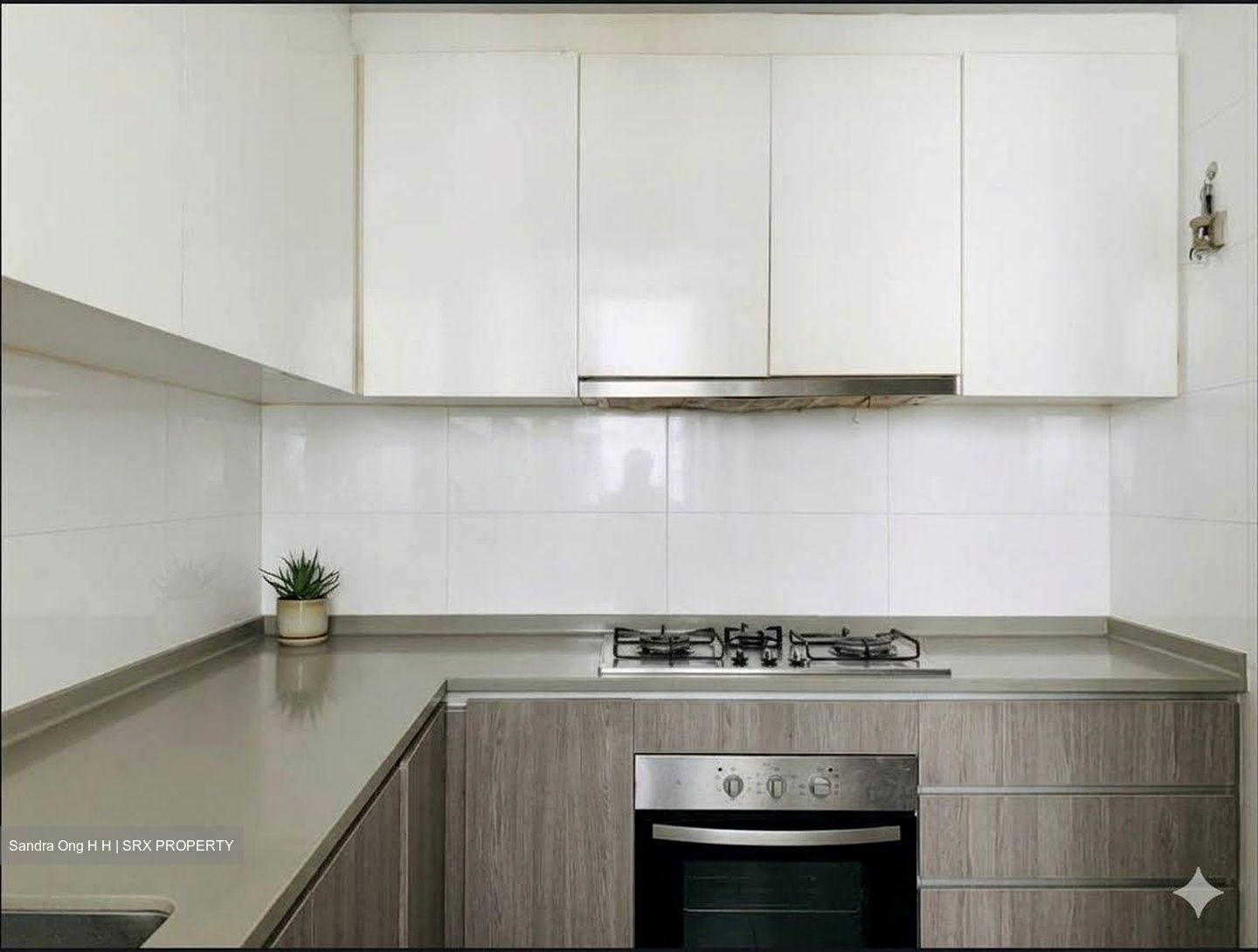 CityLife @ Tampines (D18), Condominium #599134161